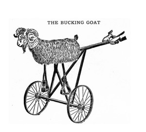 ride the goat2
